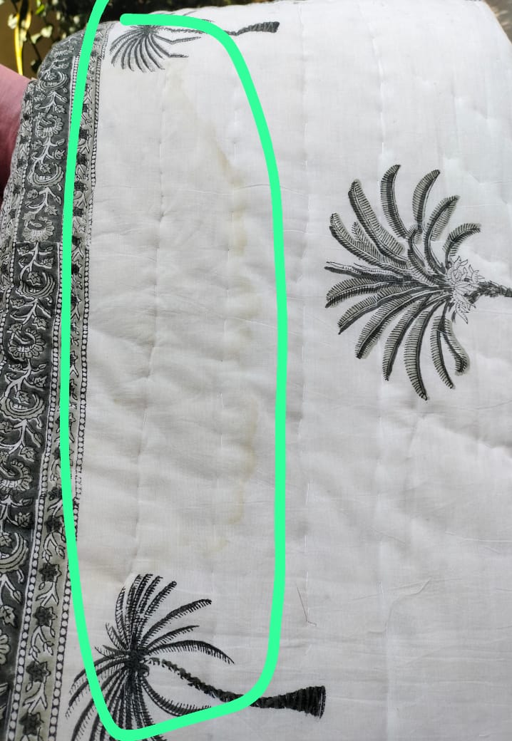 Palm Tree Hand Block Printed Double Cotton Quilt - Minor Defect